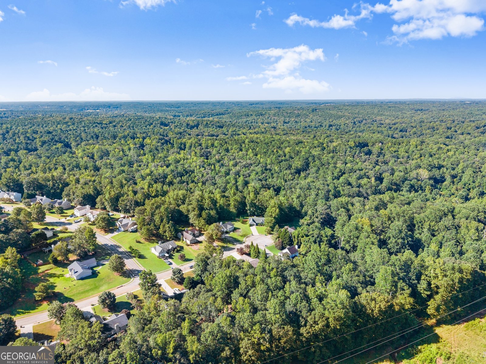 1147 Bradford Park Drive Auburn - 59