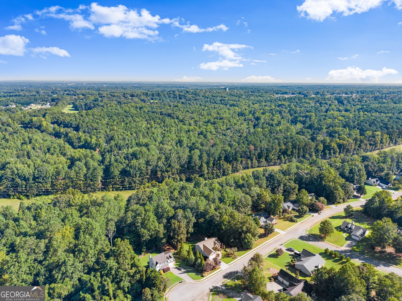 1147 Bradford Park Drive Auburn - 60