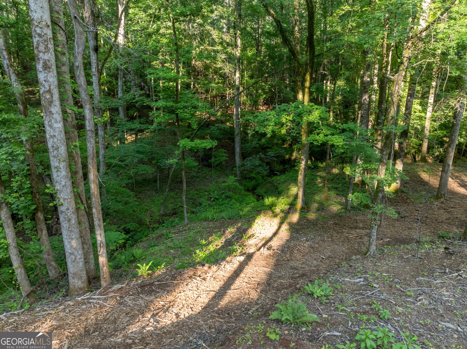 1774 Maynards Mill Road Forsyth - 12
