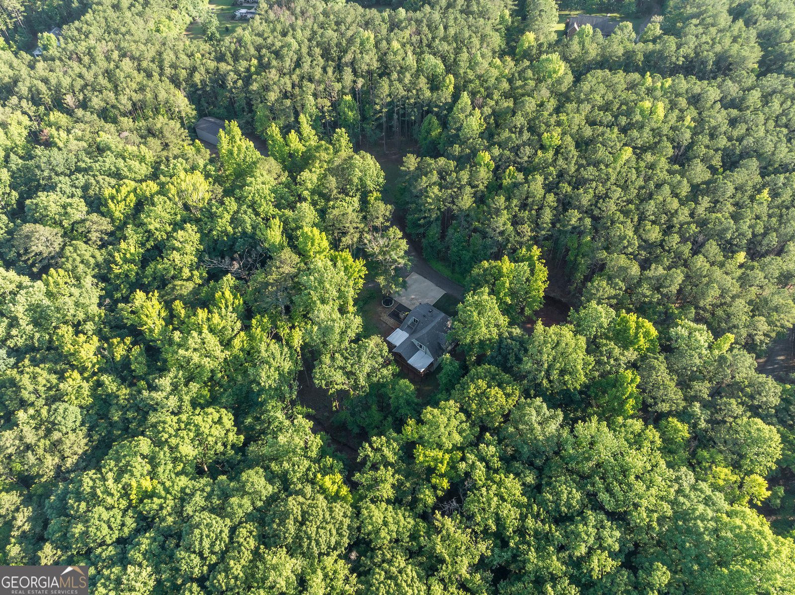 1774 Maynards Mill Road Forsyth - 15