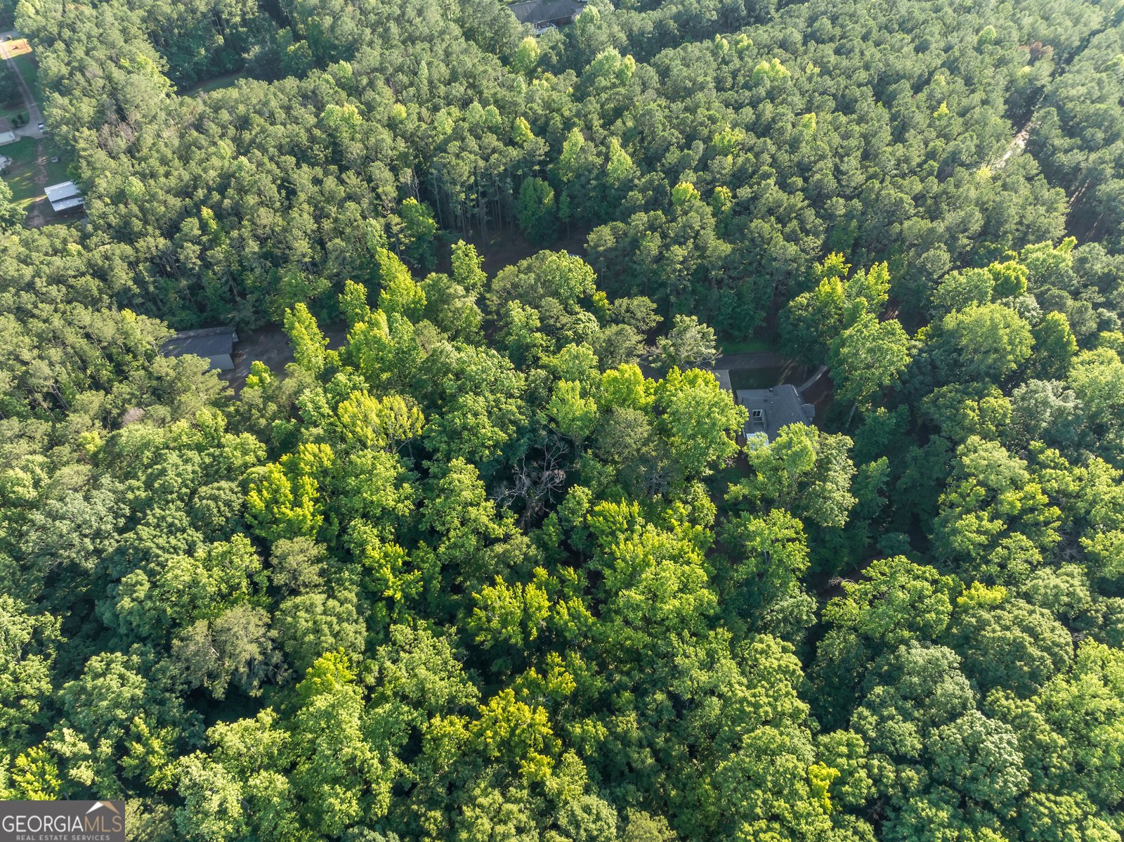 1774 Maynards Mill Road Forsyth - 16