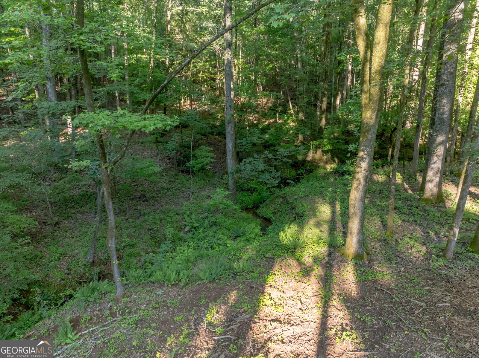 1774 Maynards Mill Road Forsyth - 50