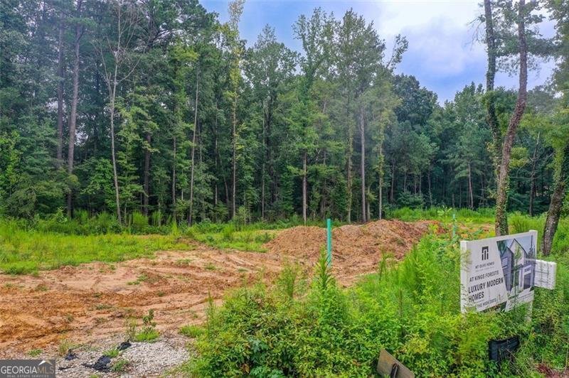 2193 Kings Forest Drive Conyers - 19