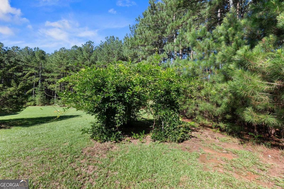 48 Loyd Smith Road Lexington - 11