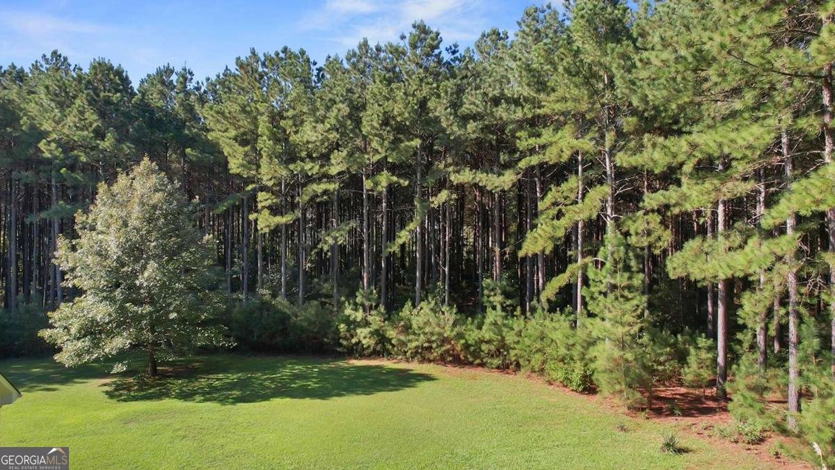 48 Loyd Smith Road Lexington - 12