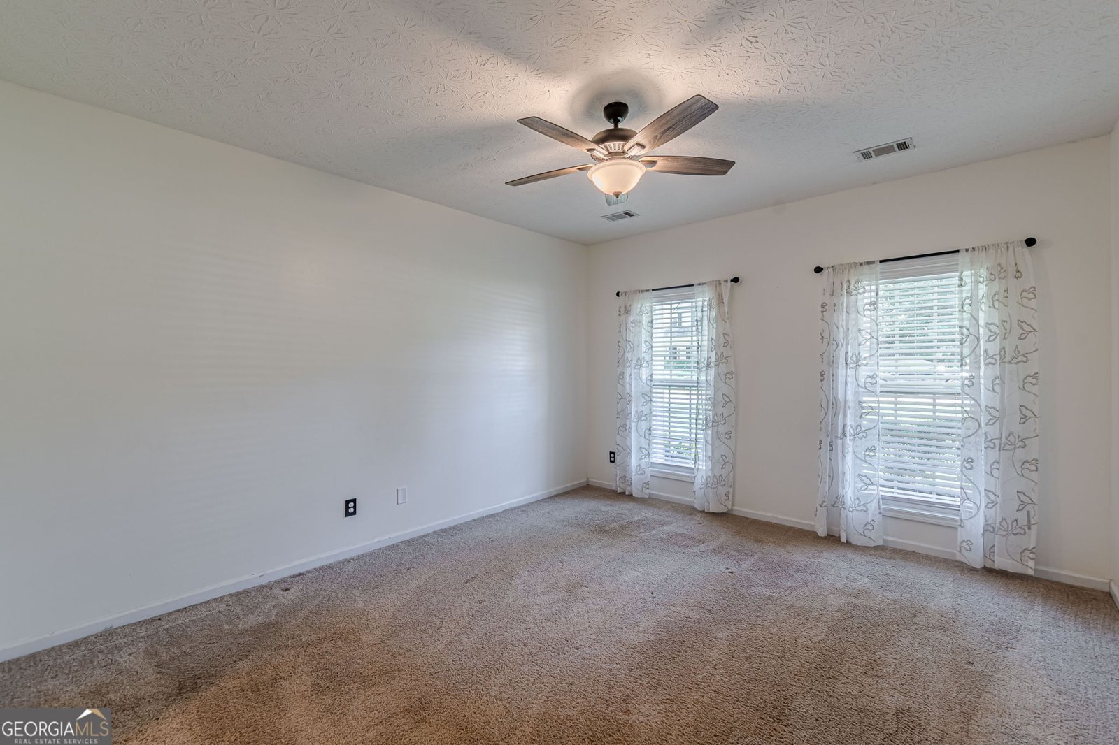 260 Willow Dell Drive Senoia - 19