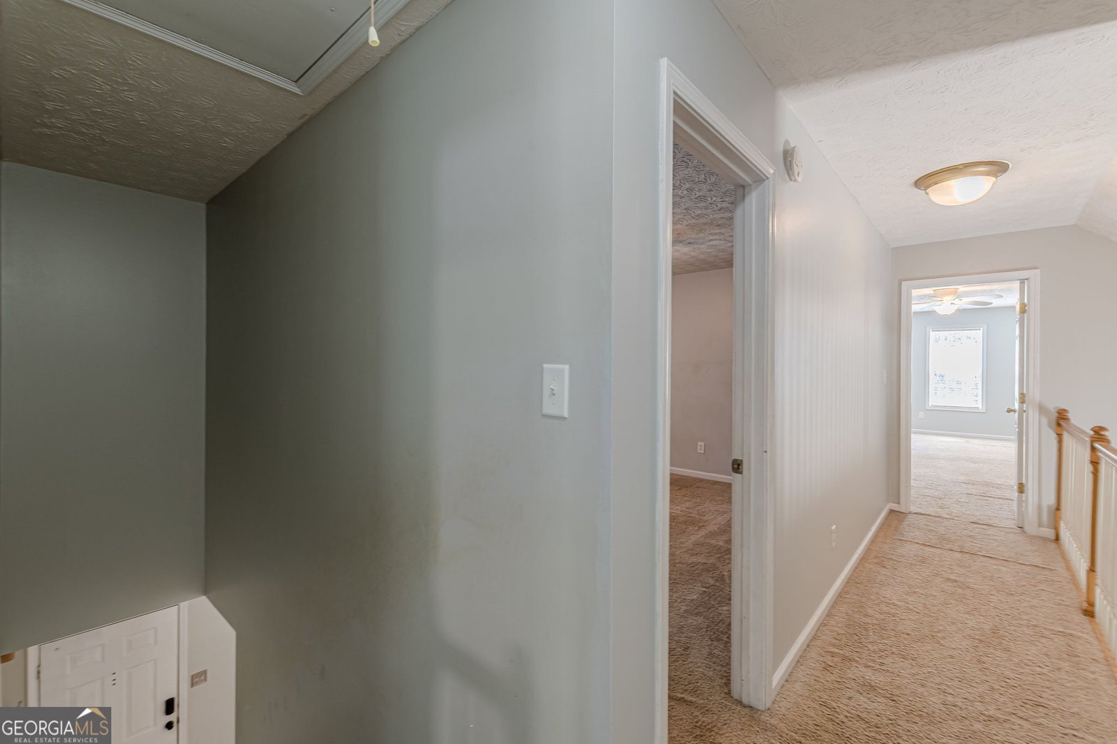 260 Willow Dell Drive Senoia - 26