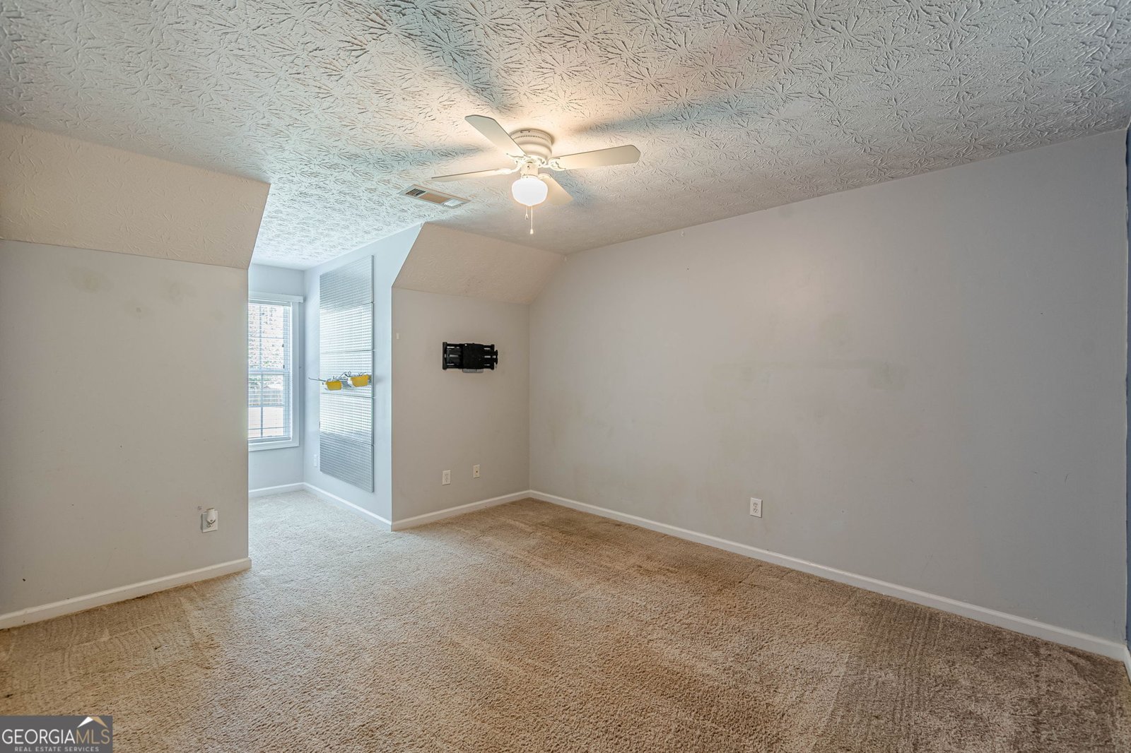 260 Willow Dell Drive Senoia - 31