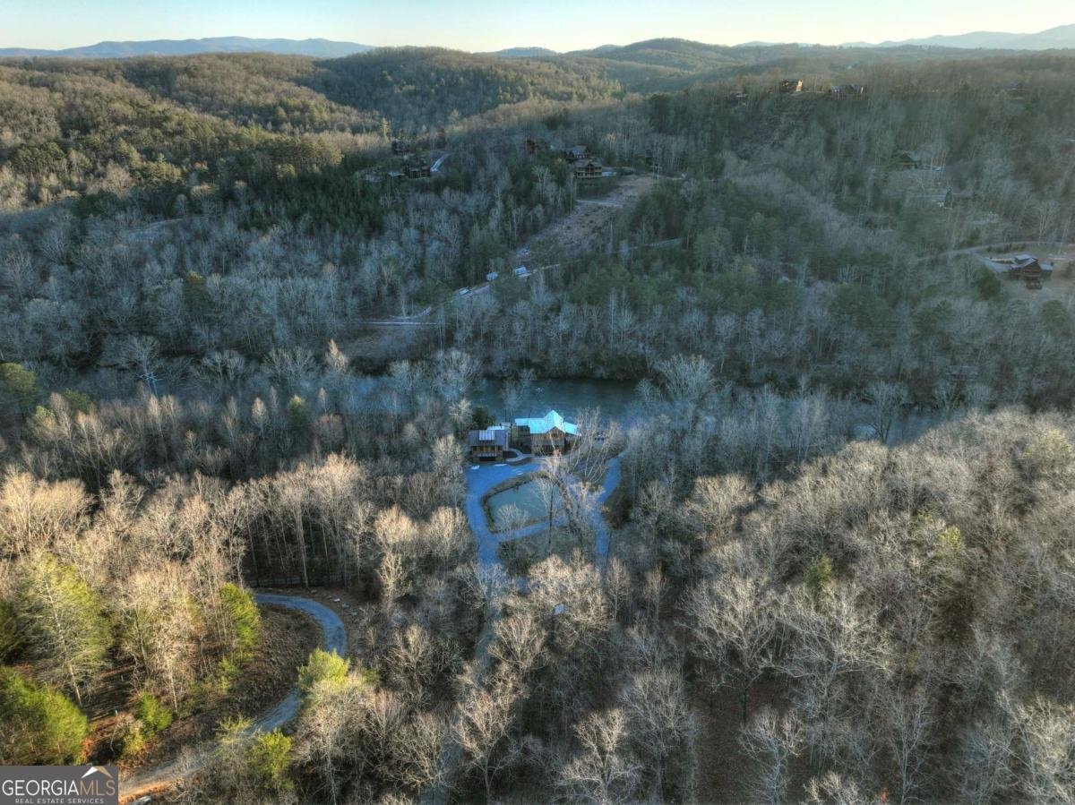 737 Wildwood Trail Mineral Bluff - 83