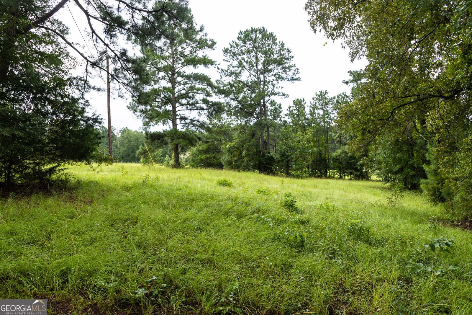 976 Windsweep Farm Road Thomaston - 31