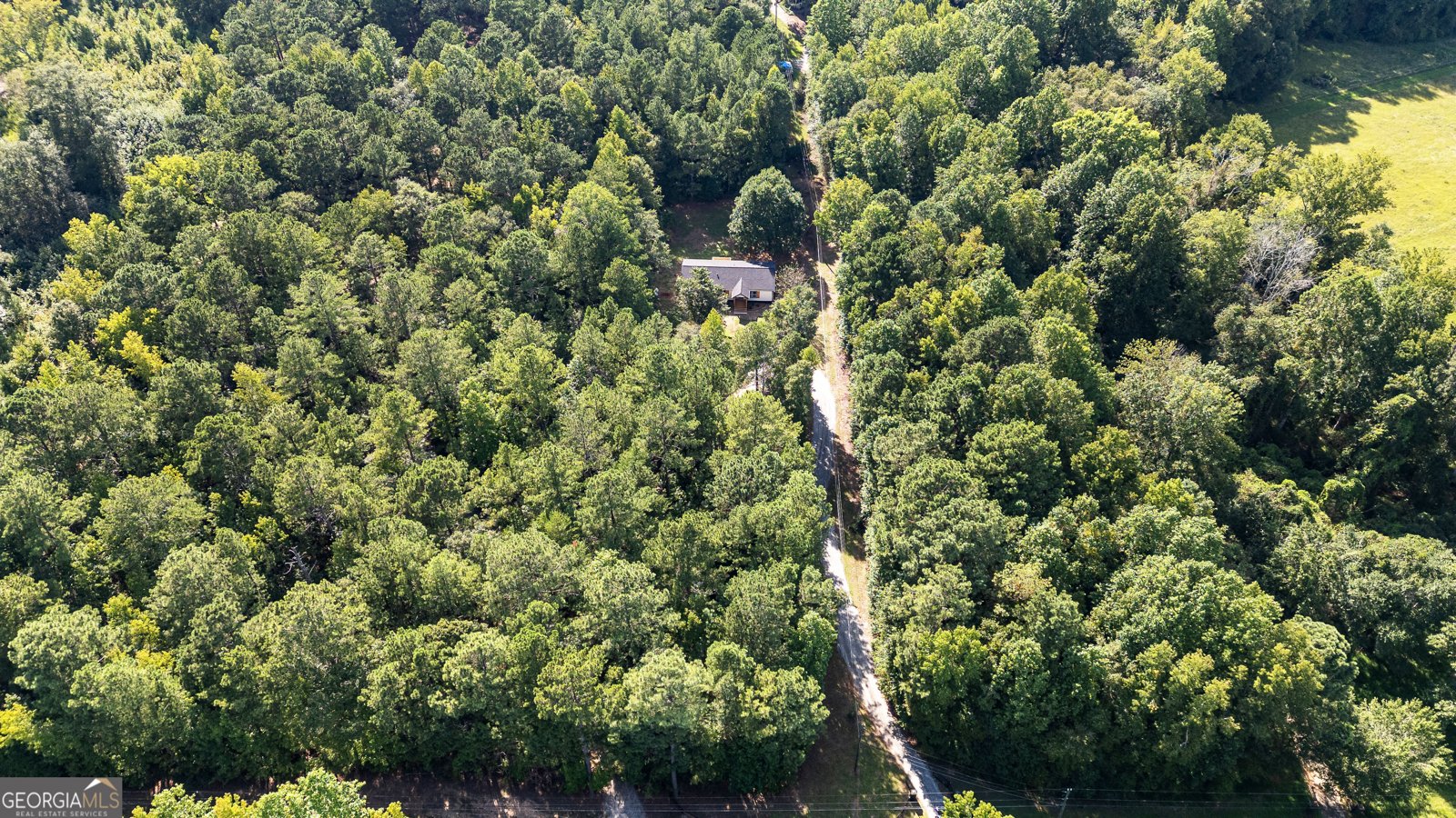 364 Yarbrough Mill Road Williamson - 2