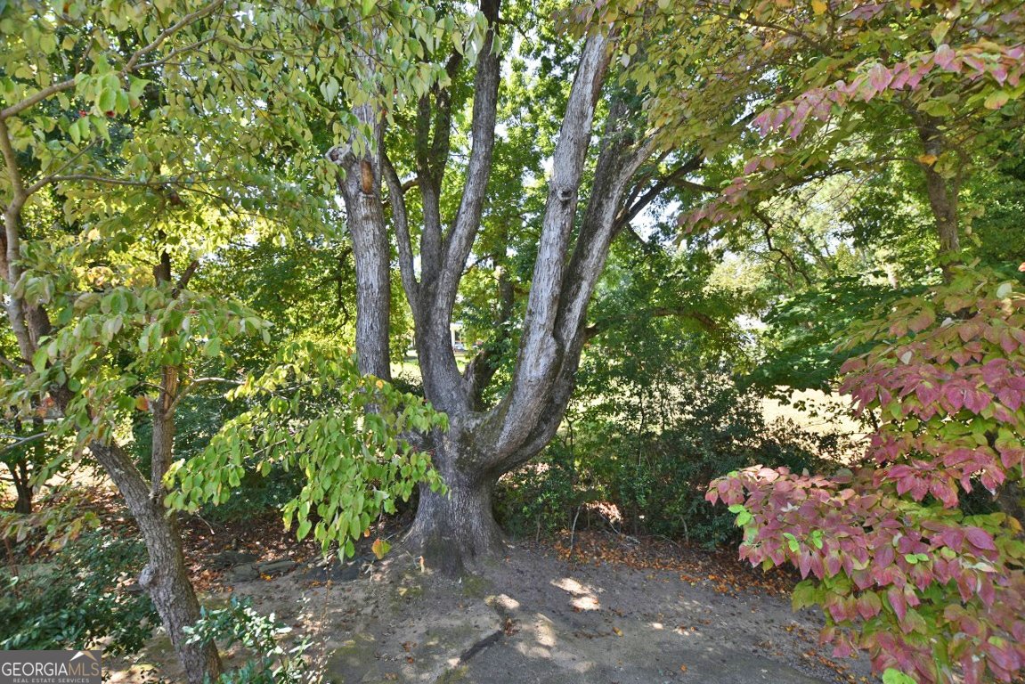 6648 Garrett Road Buford - 29