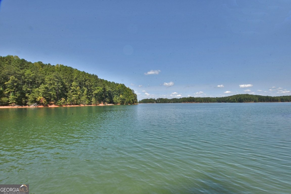 6648 Garrett Road Buford - 4