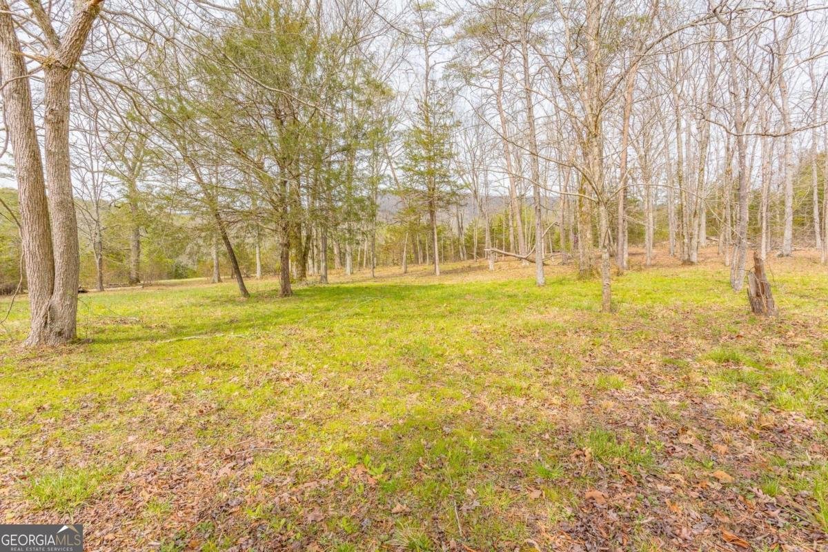 9554 Highway 193 Chickamauga - 5