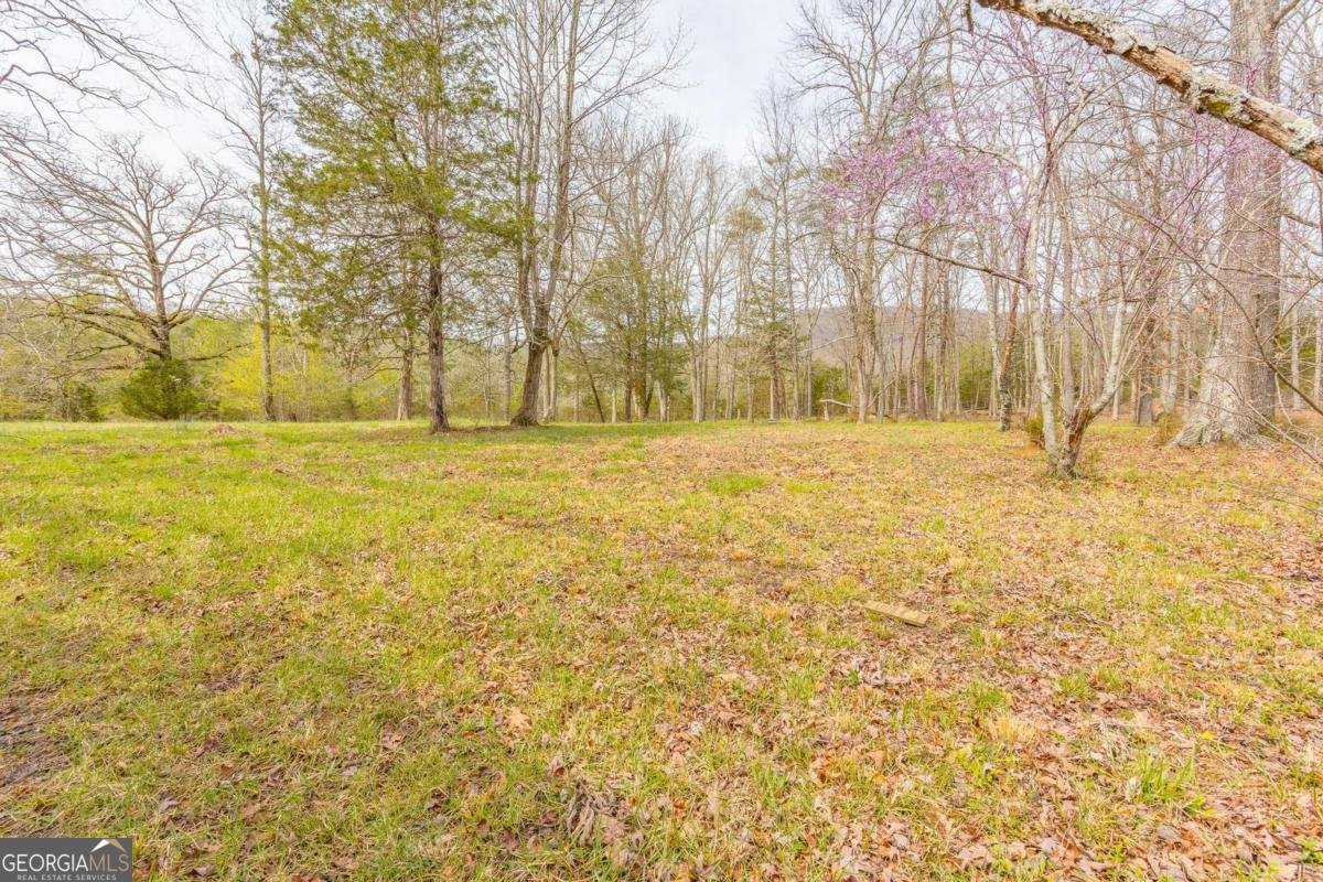 9554 Highway 193 Chickamauga - 6