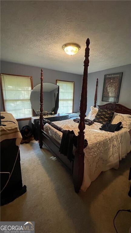 1398 Swift Creek Lane Lithonia - 10