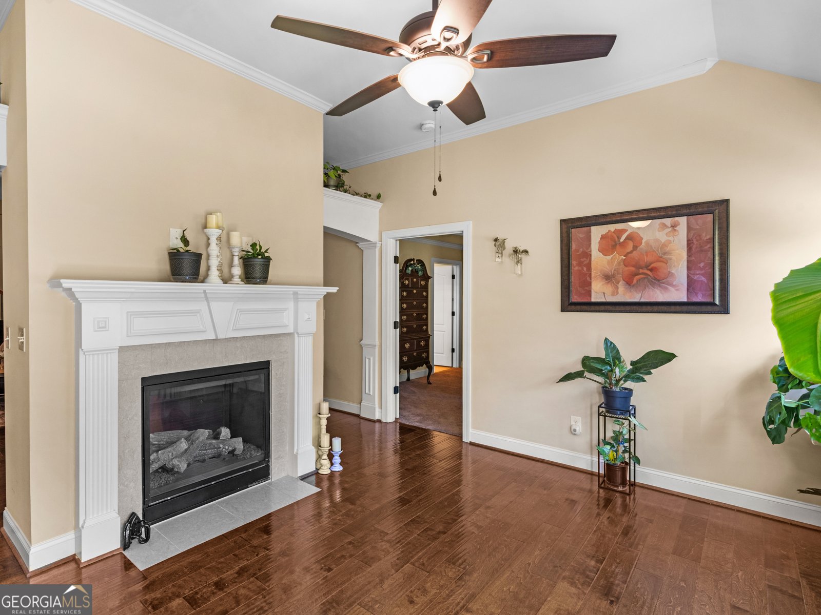 101 Pinnacle Lane McDonough - 19