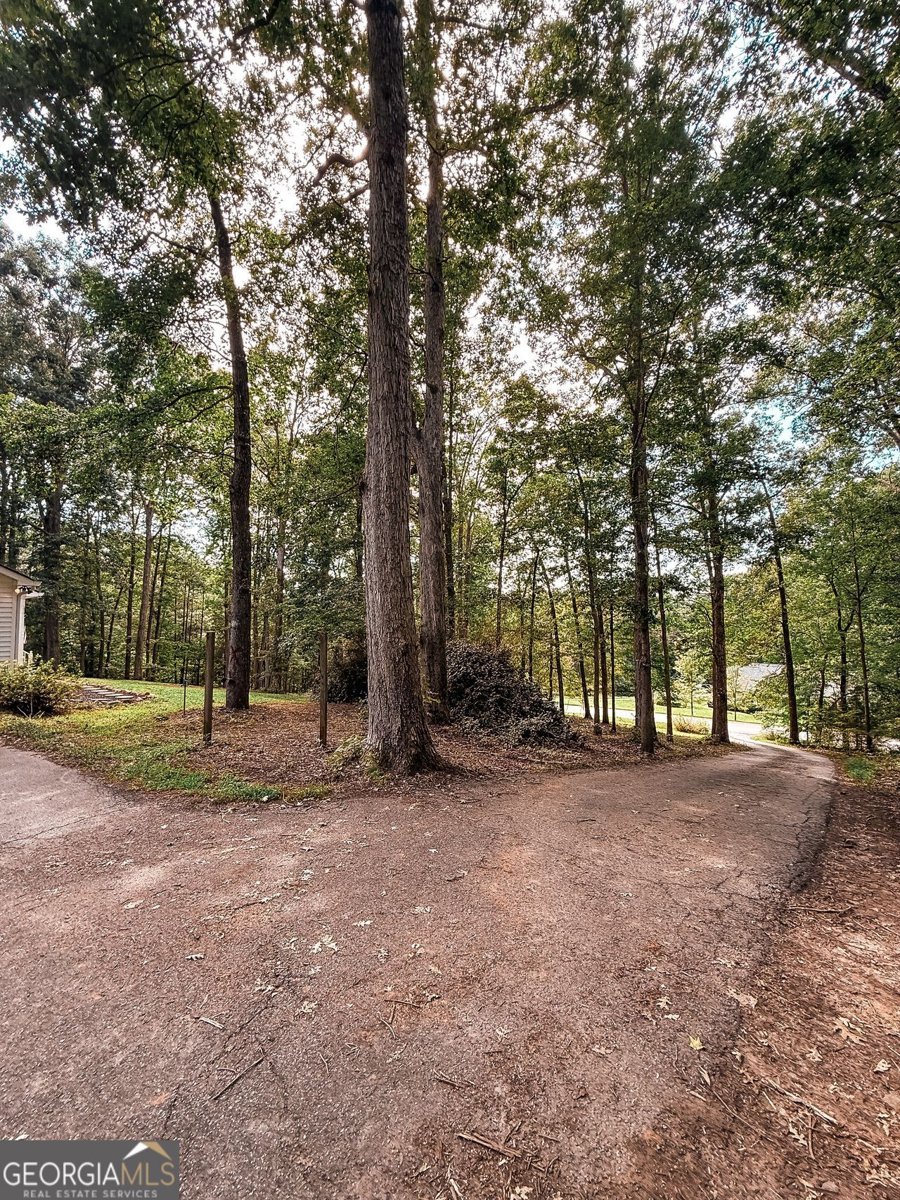 334 SUMMIT HEIGHTS Drive Nicholson - 30