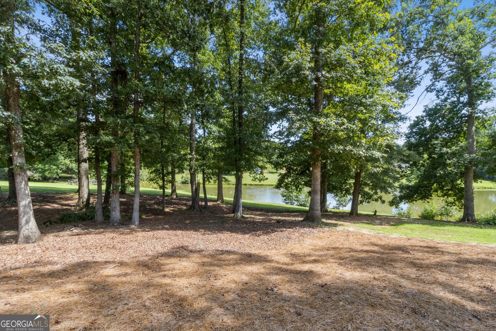 701 Cambridge Farms Drive Hoschton - 48
