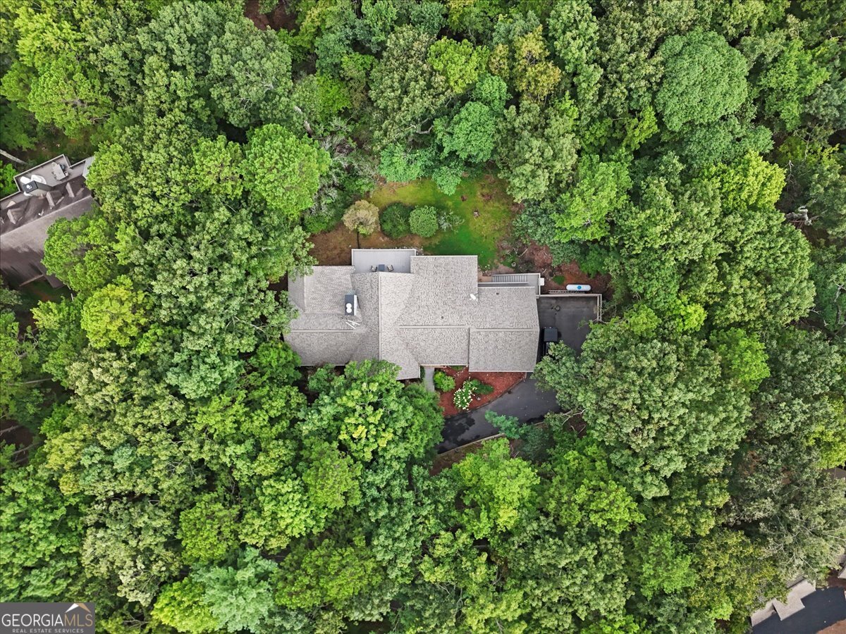 188 Tea Berry Lane Jasper - Photo 74