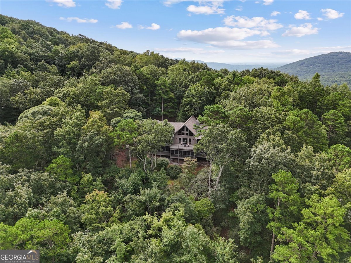 188 Tea Berry Lane Jasper - Photo 76