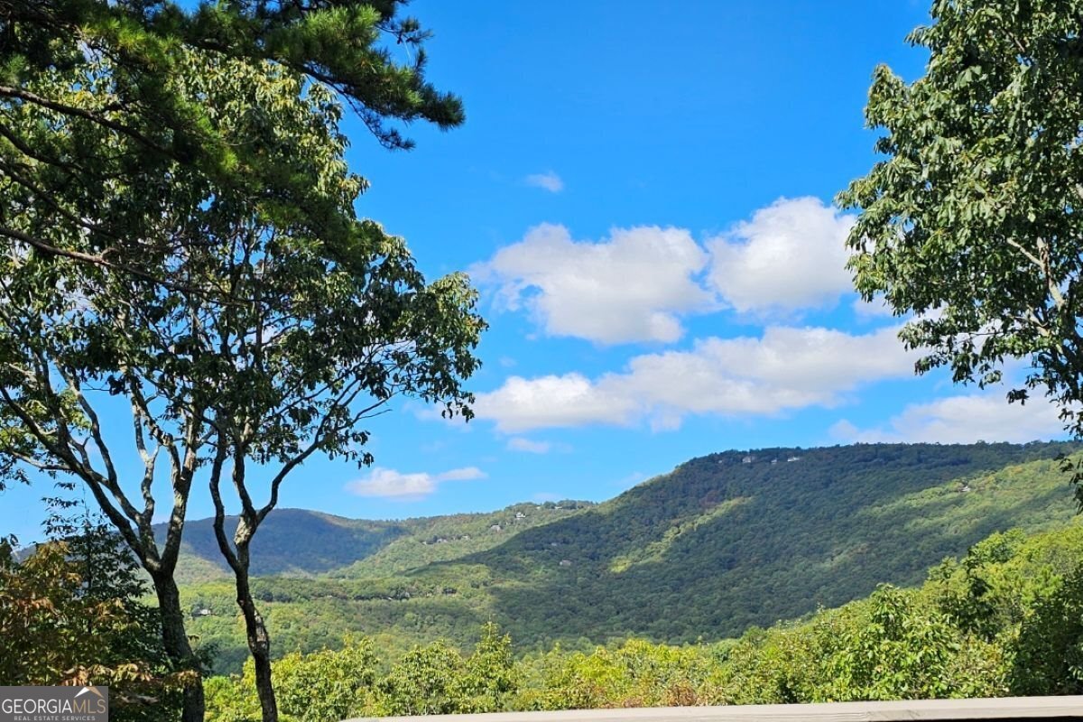 188 Tea Berry Lane Jasper - Photo 78