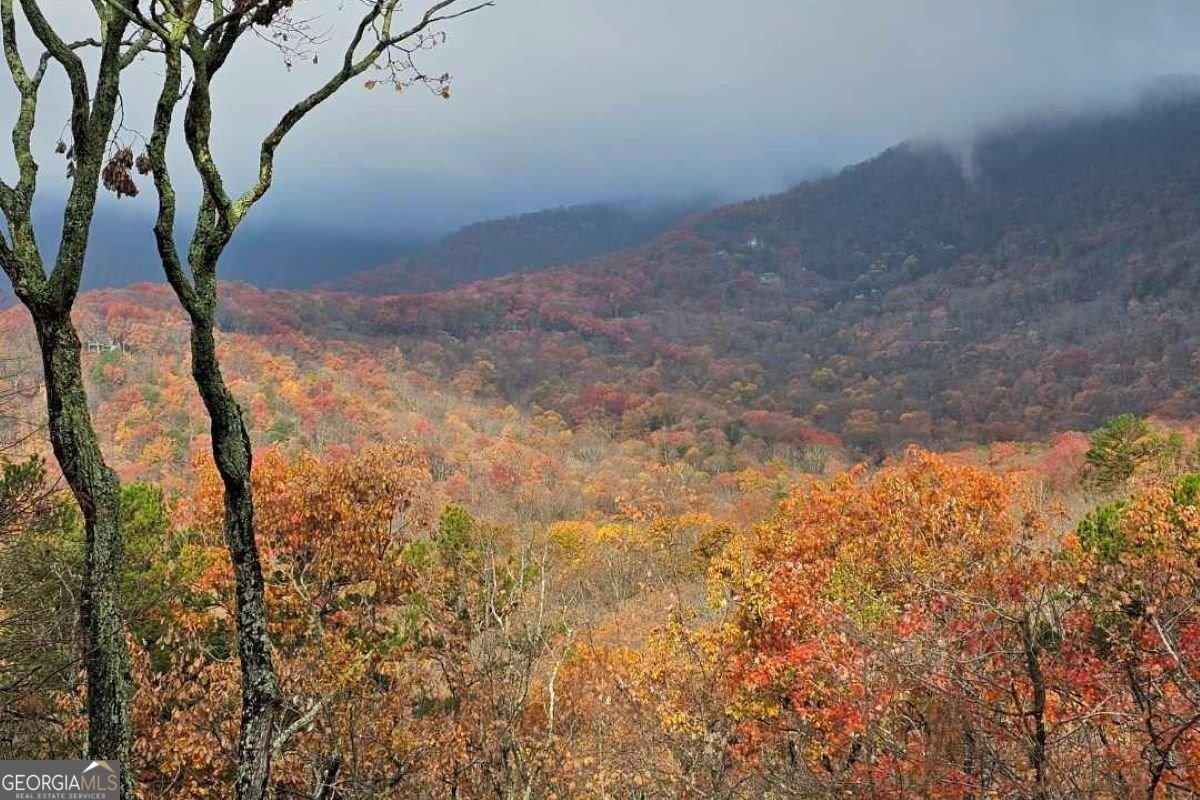 188 Tea Berry Lane Jasper - Photo 79