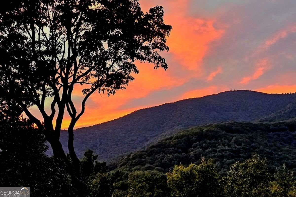 188 Tea Berry Lane Jasper - Photo 80