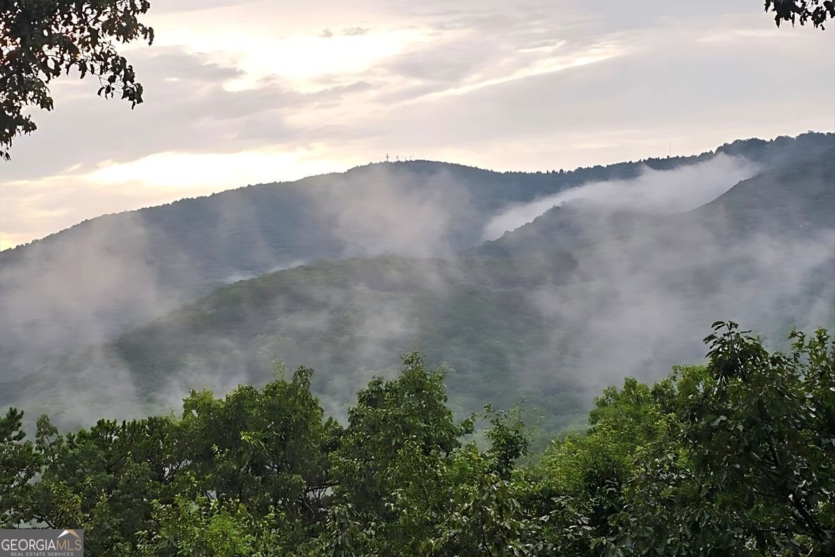 188 Tea Berry Lane Jasper - Photo 81