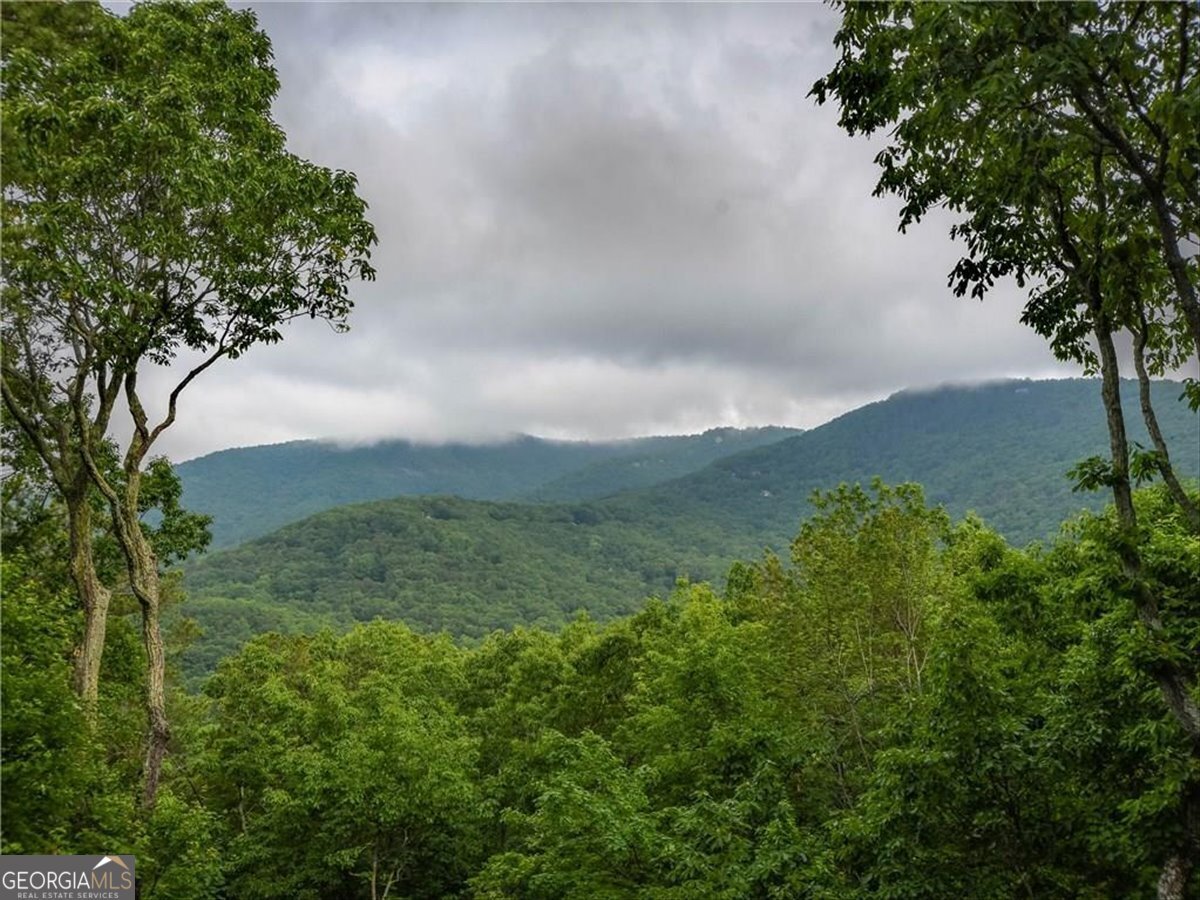 188 Tea Berry Lane Jasper - Photo 82