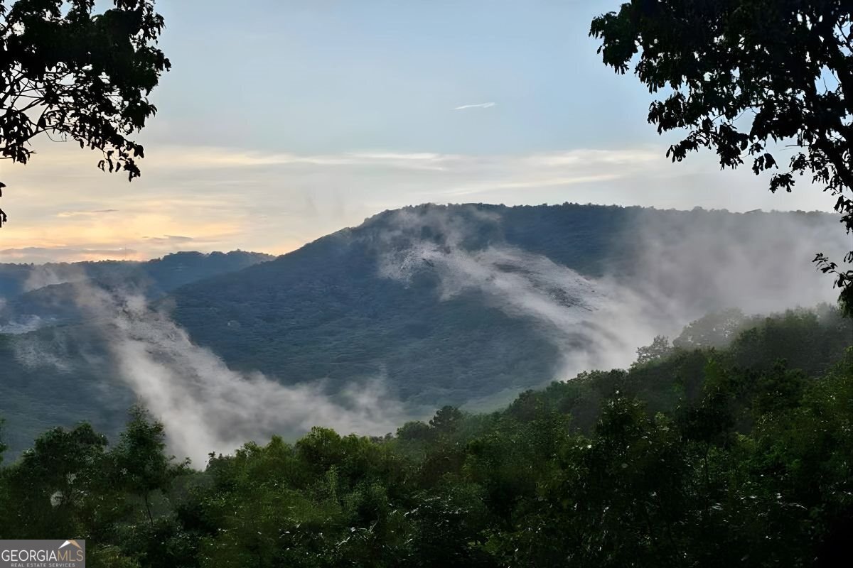 188 Tea Berry Lane Jasper - Photo 83