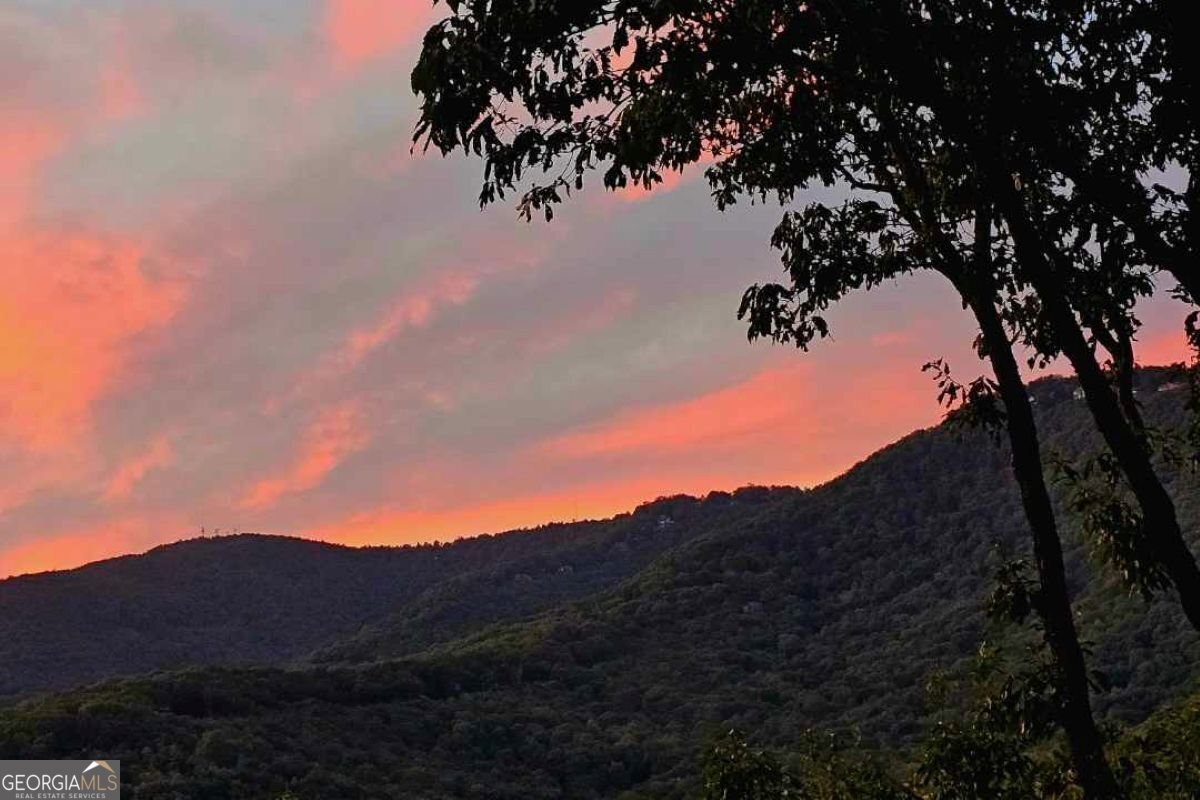 188 Tea Berry Lane Jasper - Photo 84