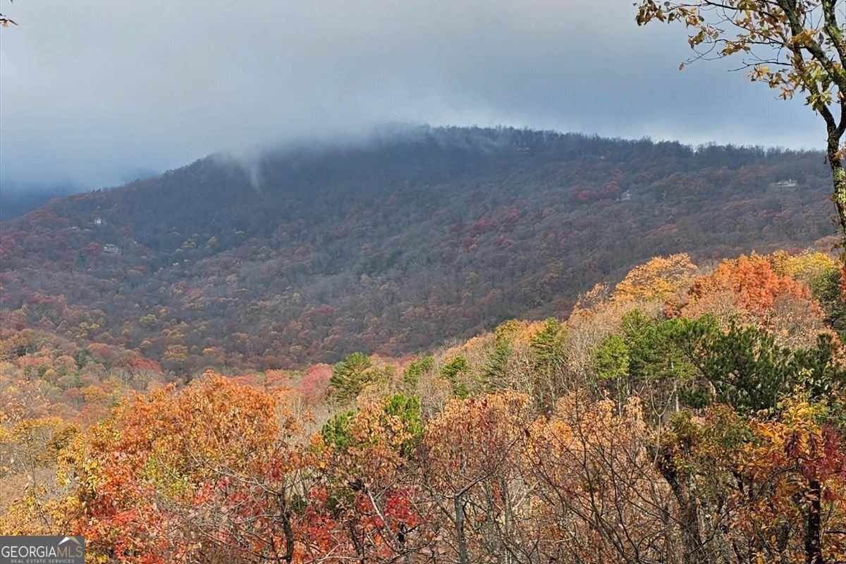 188 Tea Berry Lane Jasper - Photo 85