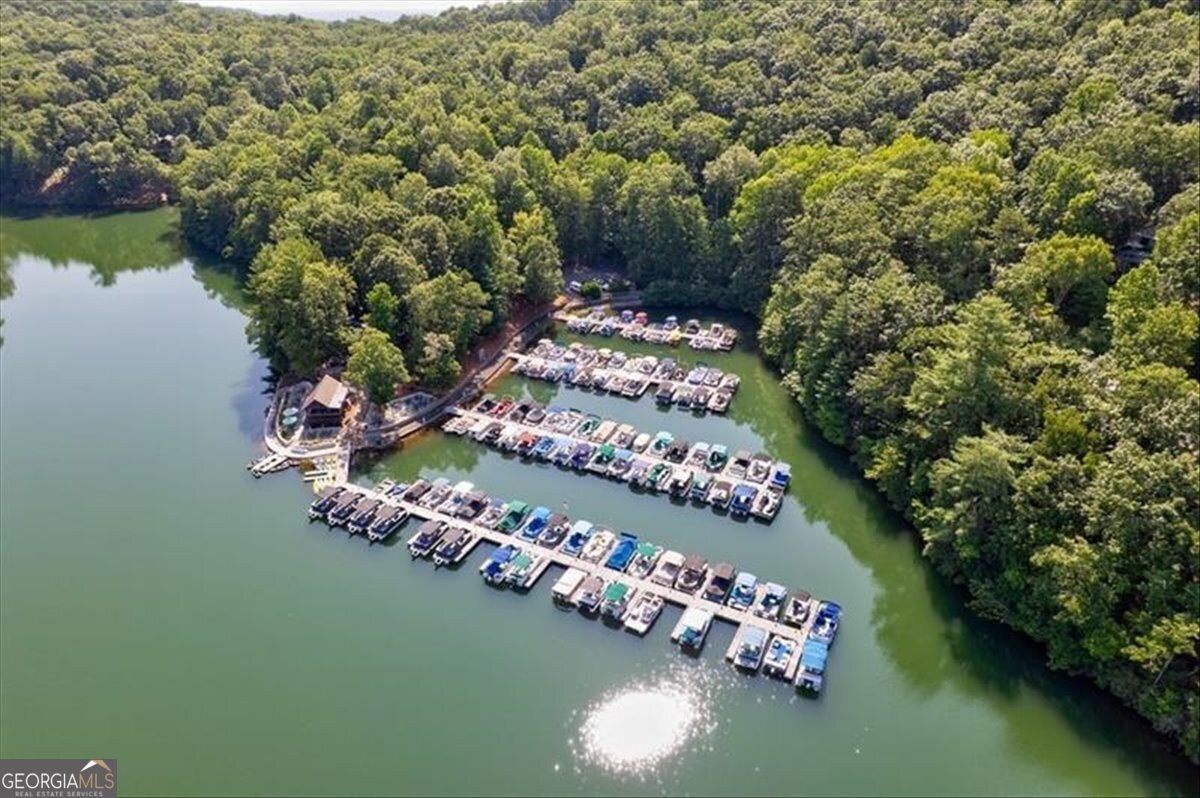 188 Tea Berry Lane Jasper - Photo 91