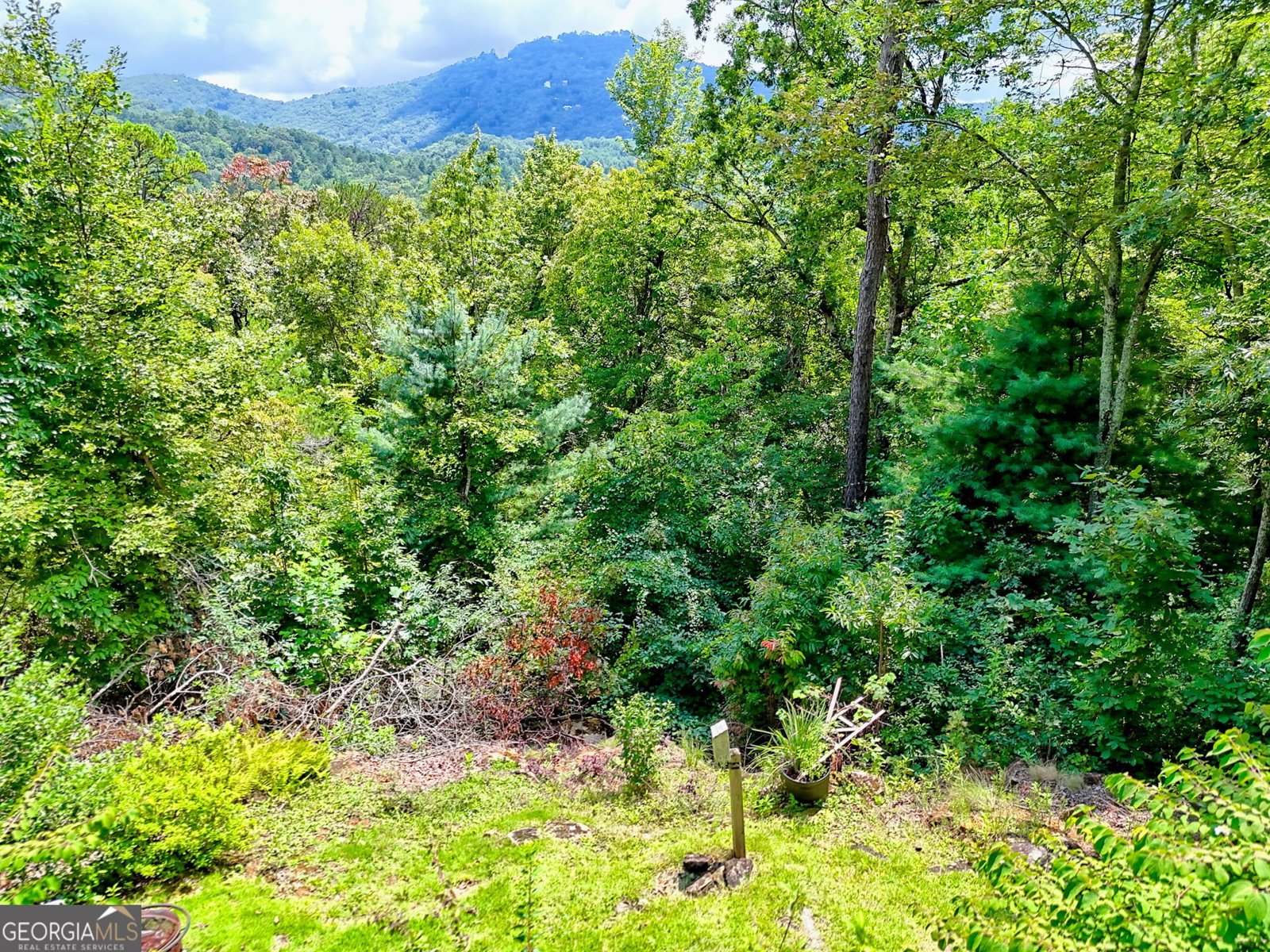 131 Ridgeline Court Clayton - 25