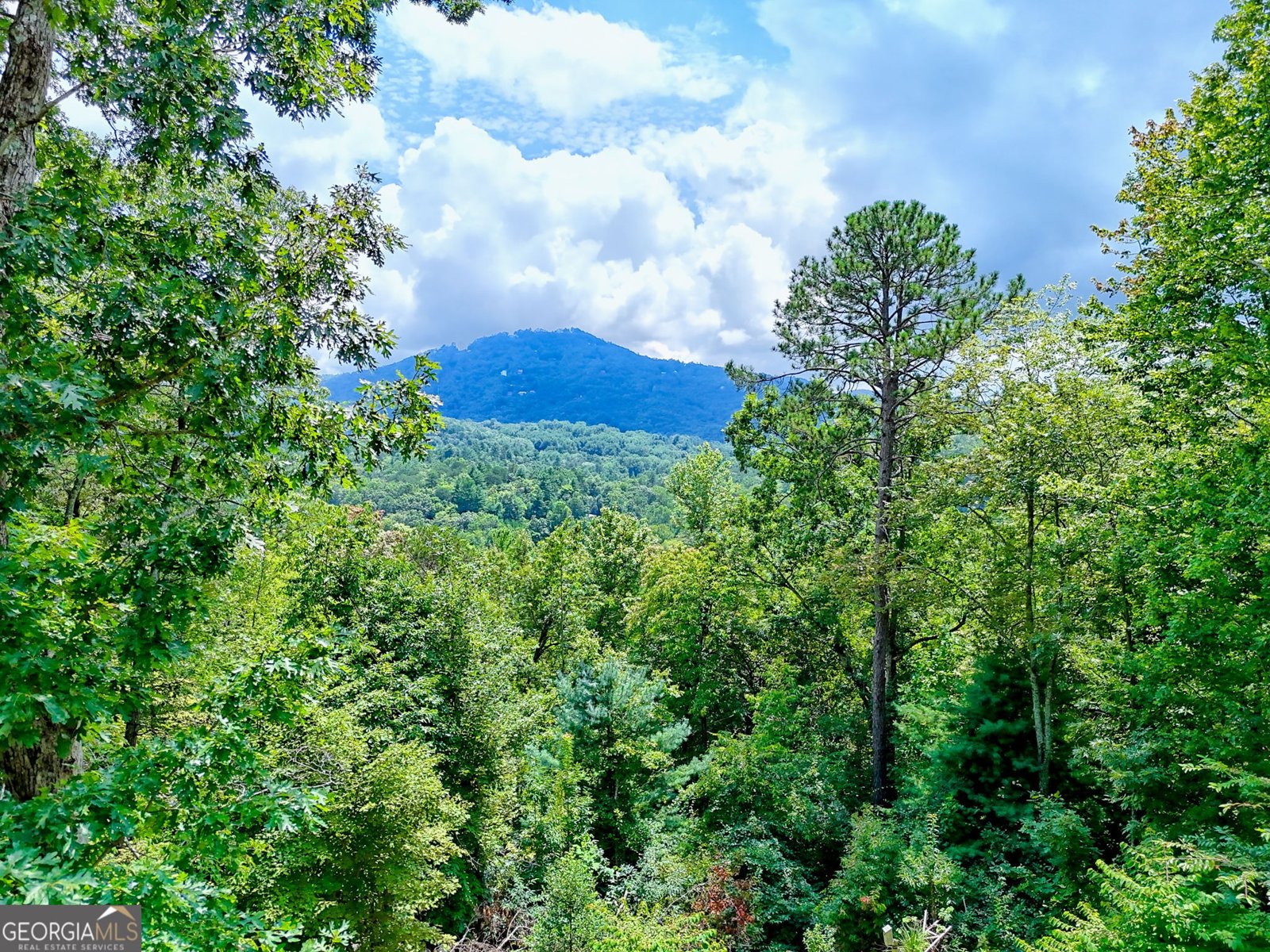 131 Ridgeline Court Clayton - 27