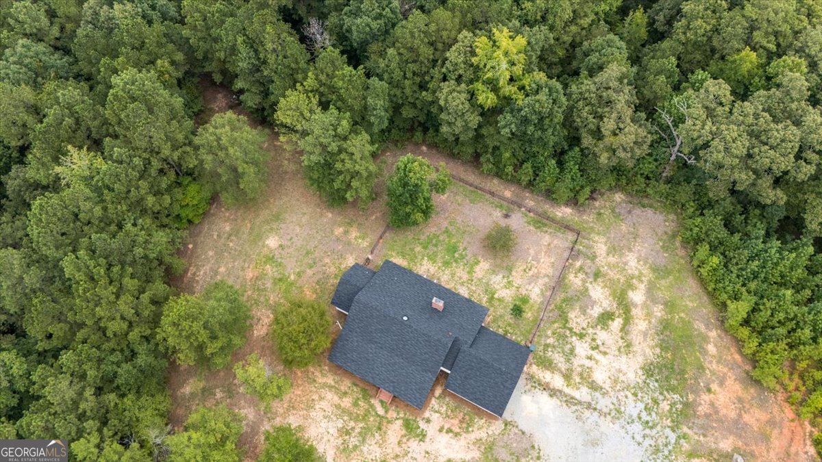 8529 Highway 87 Juliette - 27