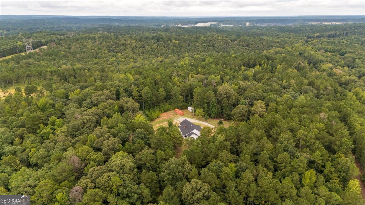 8529 Highway 87 Juliette - 29