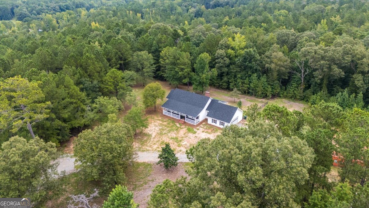 8529 Highway 87 Juliette - 31