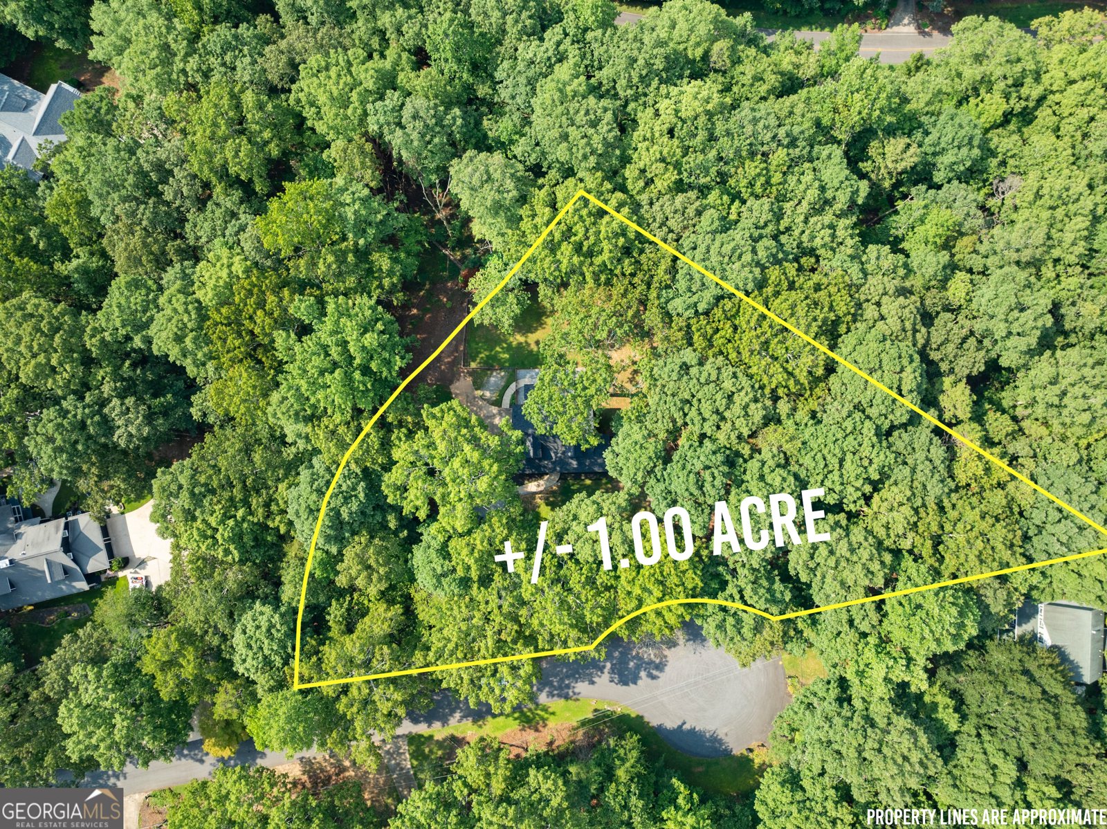 425 Trillium Ridge Dawsonville - 38