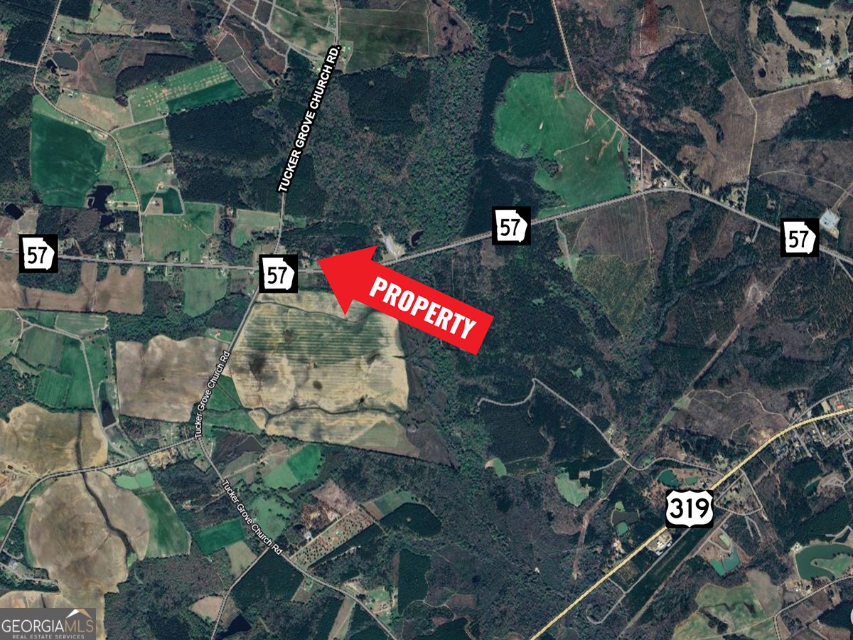 1936 Ga Highway 57 Wrightsville - 4