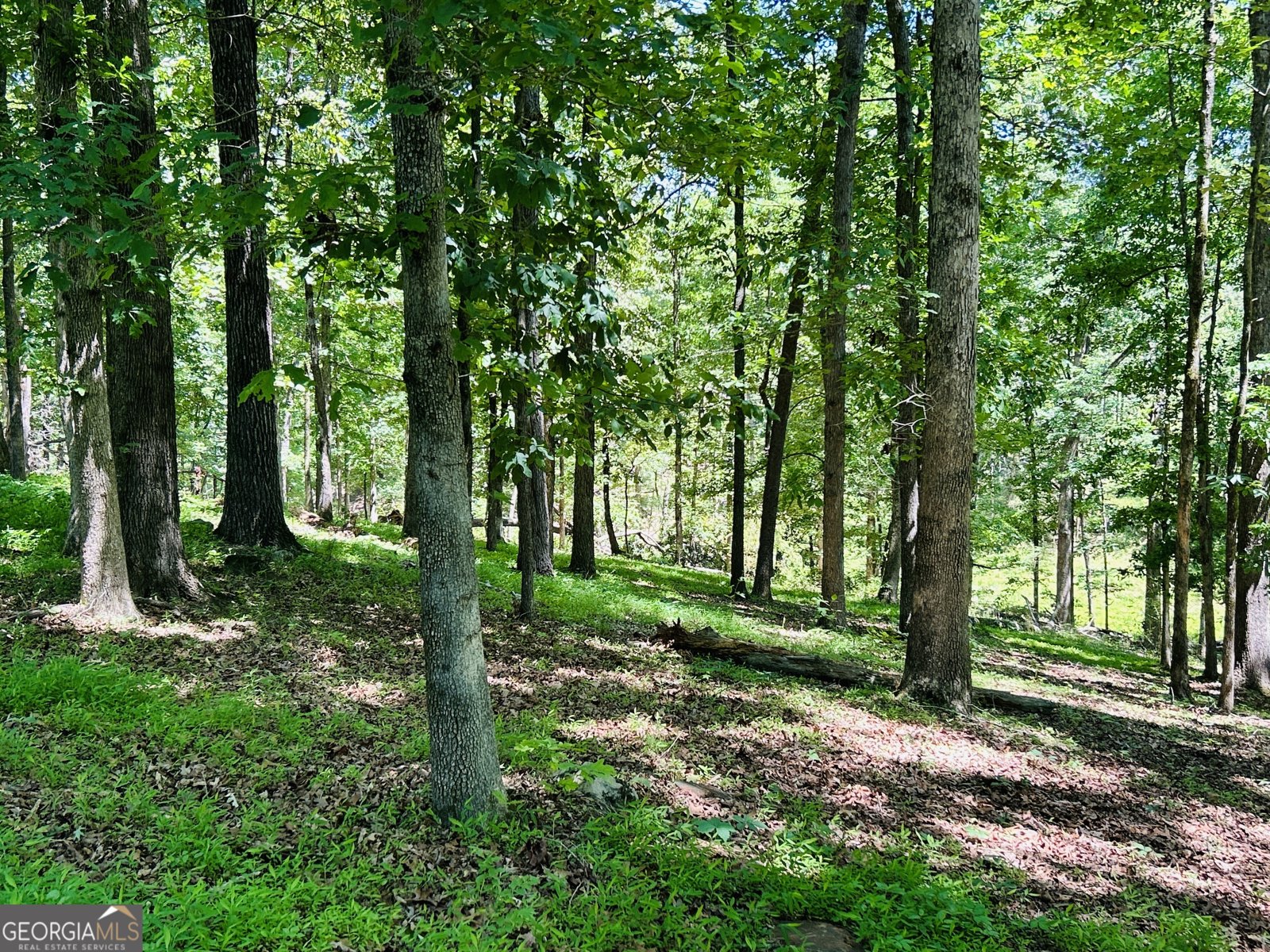 303 Chitwood Road Clarkesville - 14