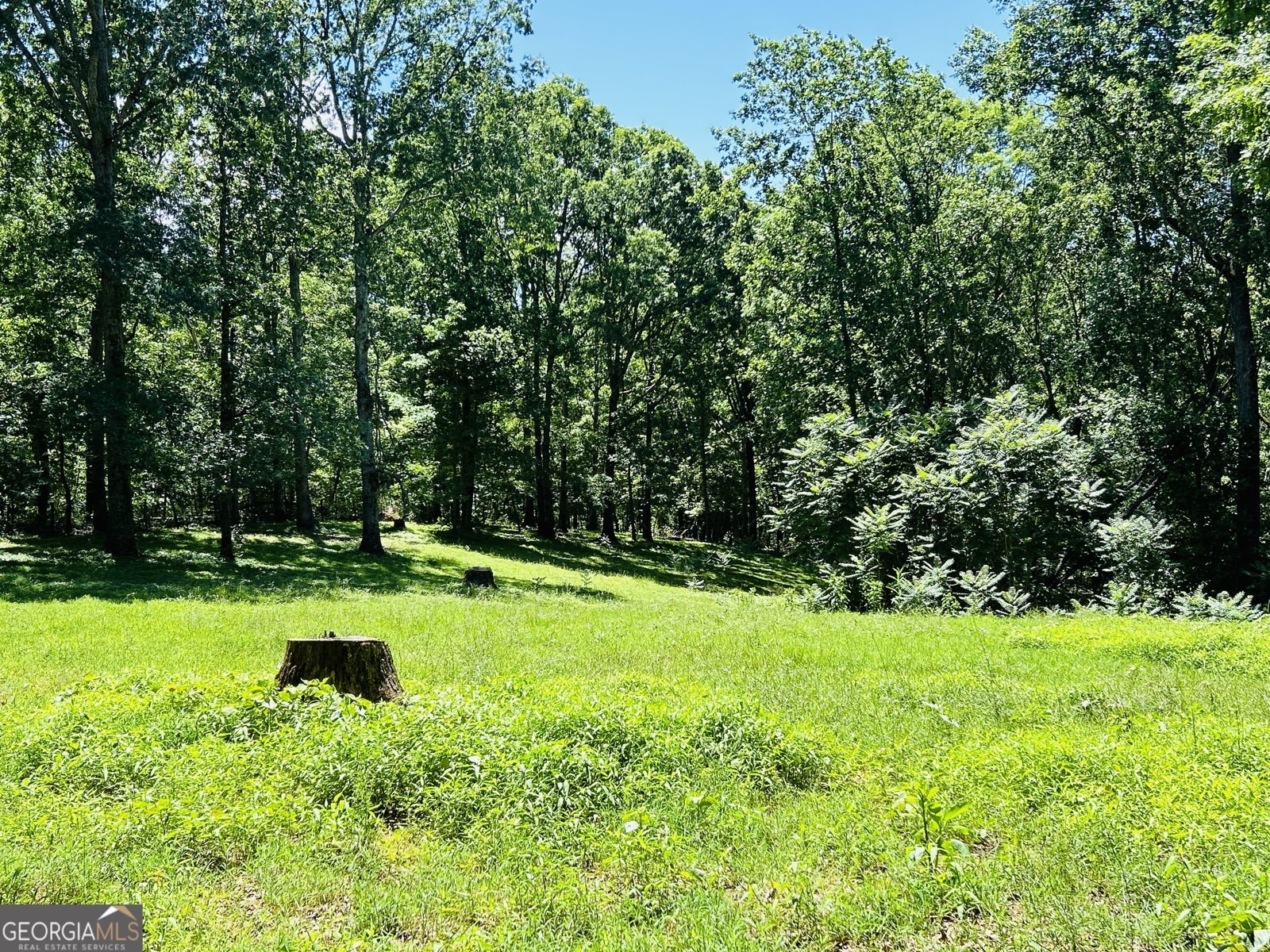 303 Chitwood Road Clarkesville - 16