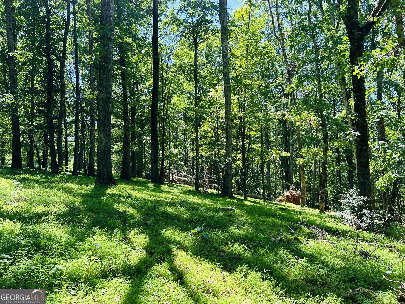 303 Chitwood Road Clarkesville - 18