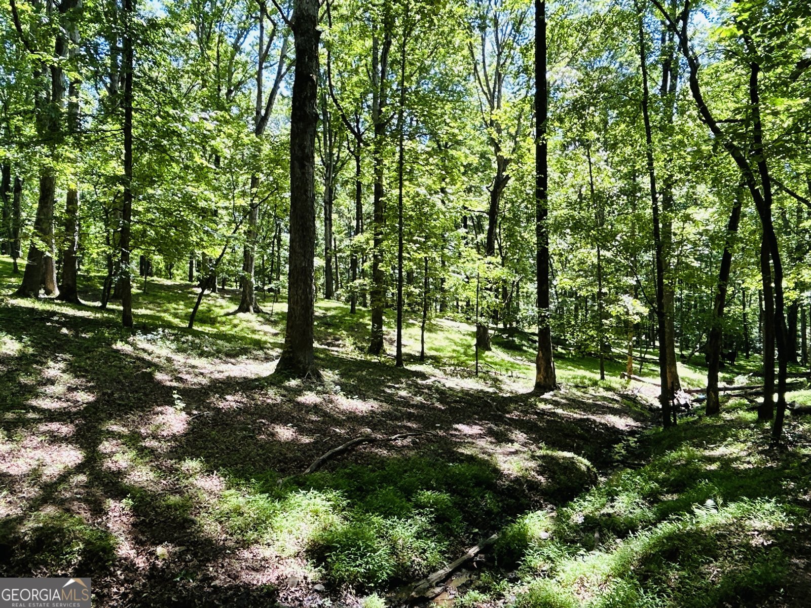 303 Chitwood Road Clarkesville - 19