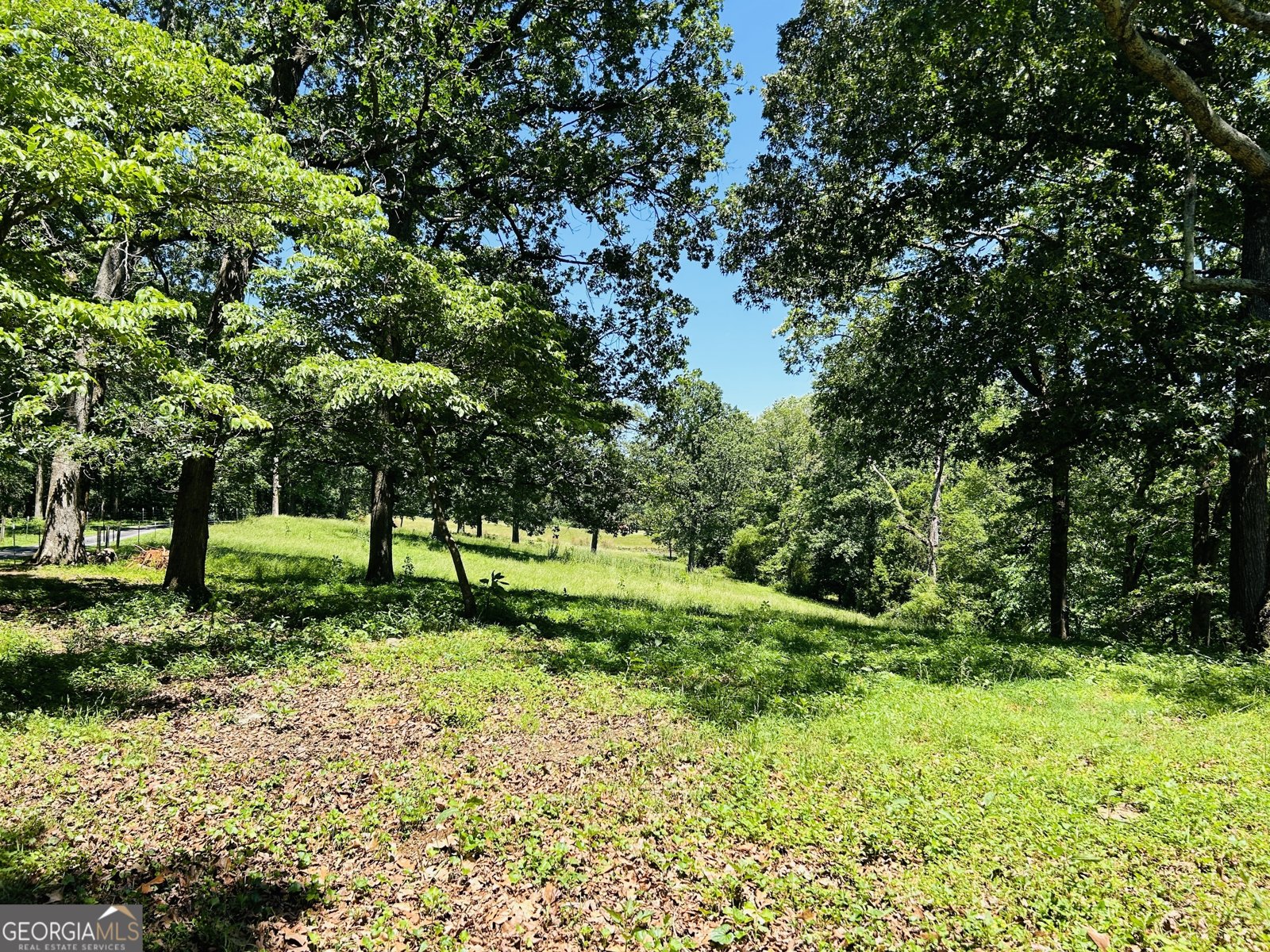 303 Chitwood Road Clarkesville - 2