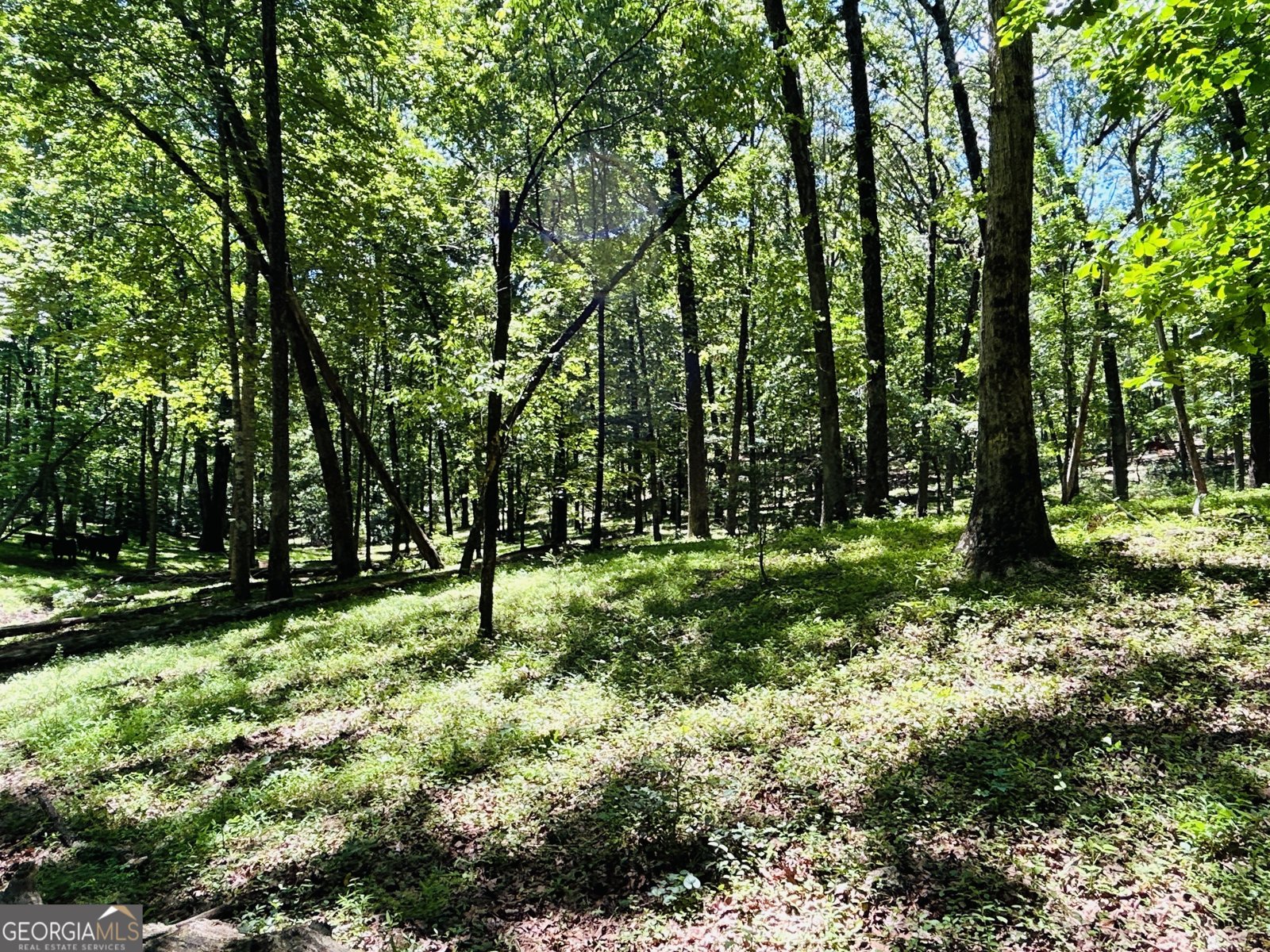 303 Chitwood Road Clarkesville - 22