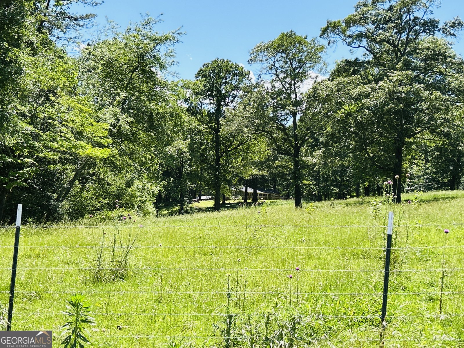 303 Chitwood Road Clarkesville - 26
