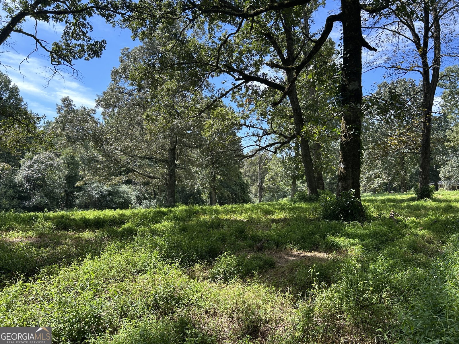 303 Chitwood Road Clarkesville - 34