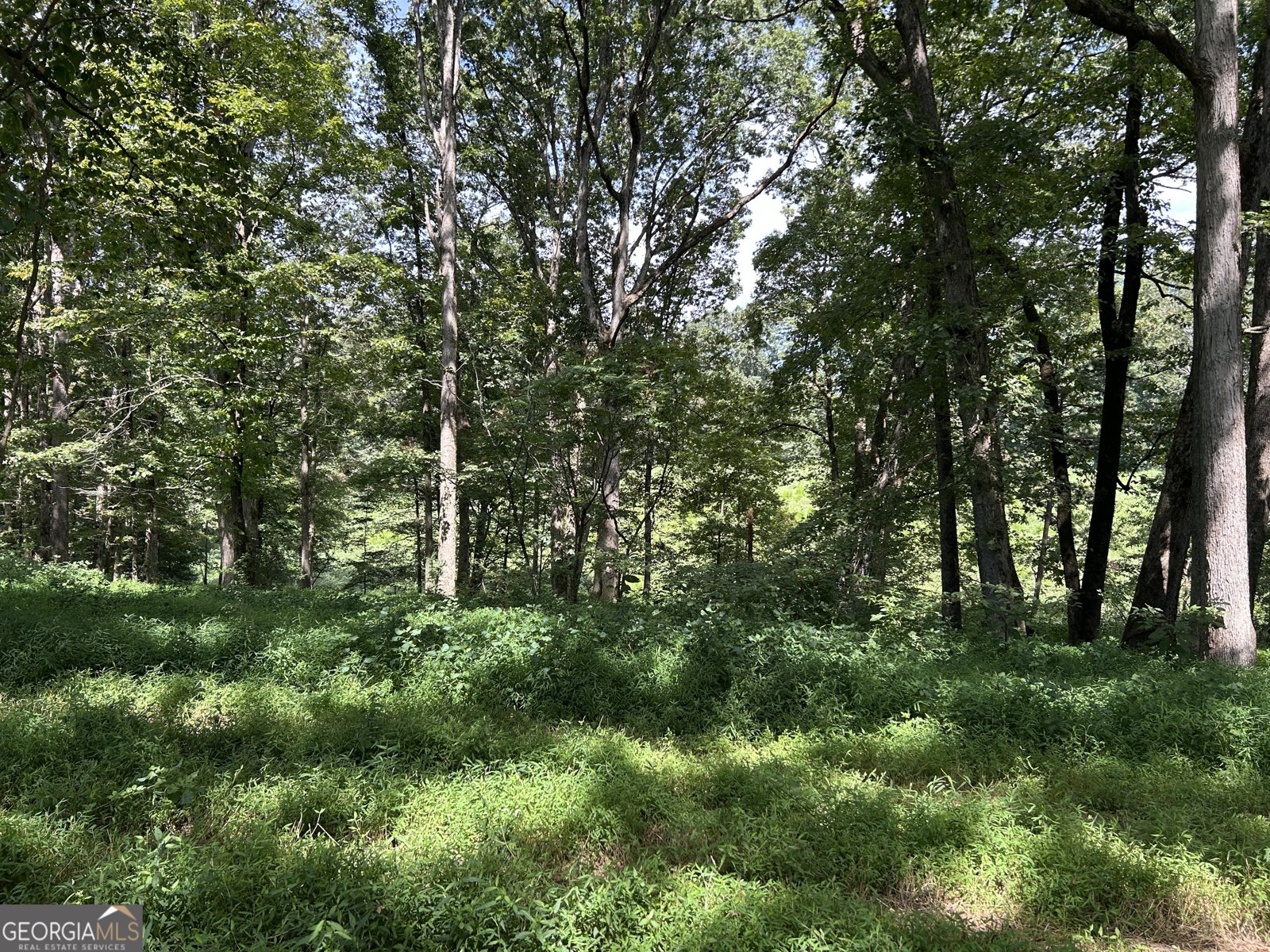 303 Chitwood Road Clarkesville - 35